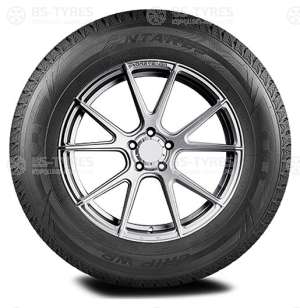 Antares Grip Winter + 255/40 R19 100H