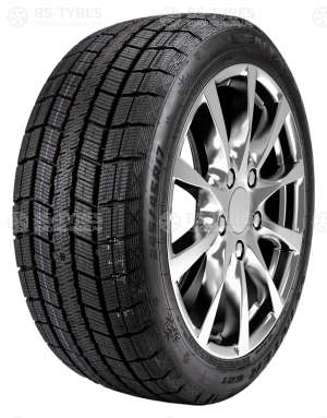 Centara Winter RX621 205/60 R16 92T