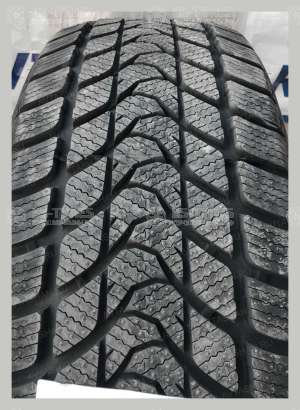 Delinte Winter WD1 215/45 R16 90H