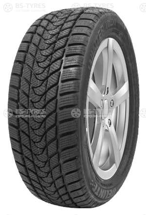 Delinte Winter WD1 215/45 R16 90H