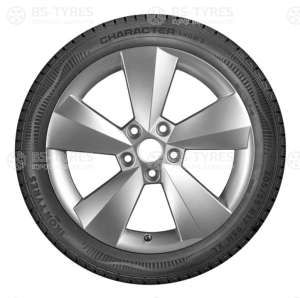 Ikon (Nokian Tyres) Character Snow 2 (Nordman RS2) 185/70 R14 92R