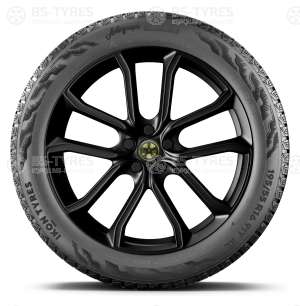 Ikon (Nokian Tyres) Autograph Snow 5 215/55 R17 98R