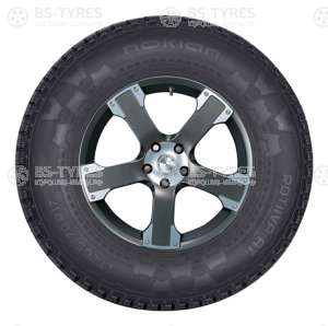 Nokian Tyres Rotiiva AT 255/70 R17 112T (2016)