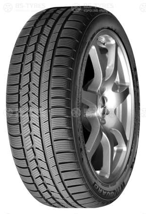 Roadstone Winguard Sport 215/60 R17 96H
